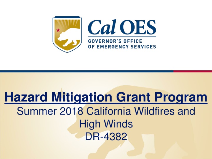 hazard mitigation grant program summer 2018