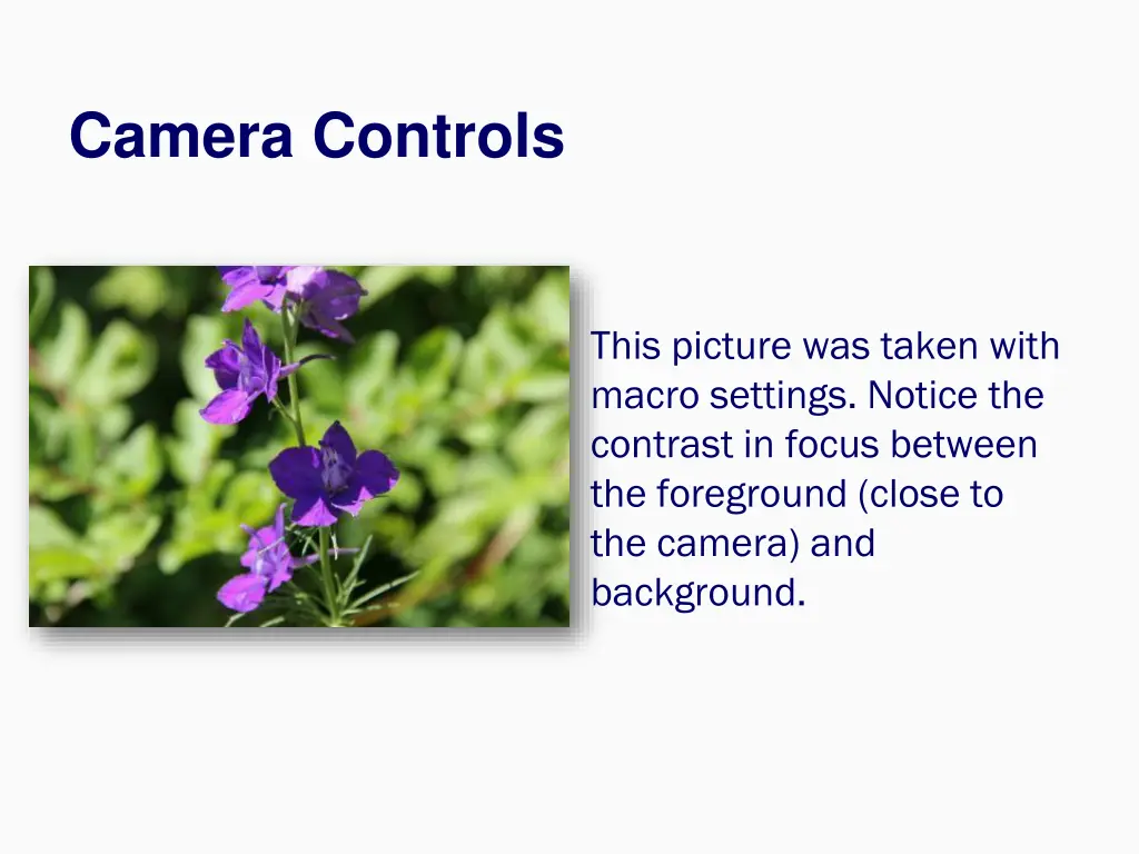 camera controls 9