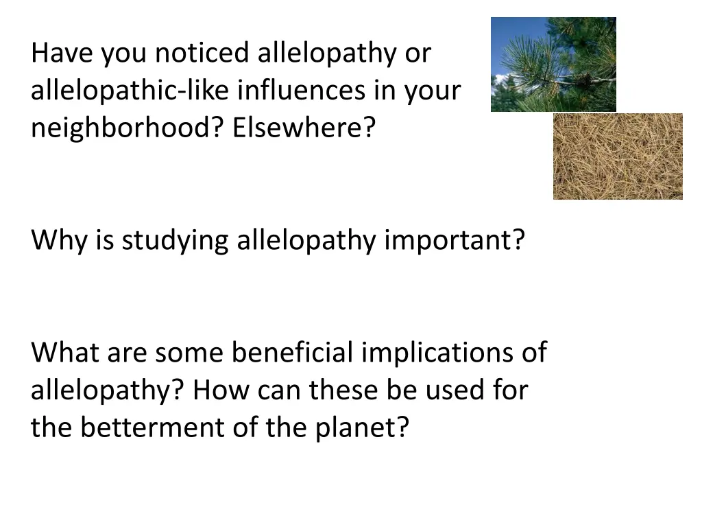 have you noticed allelopathy or allelopathic like