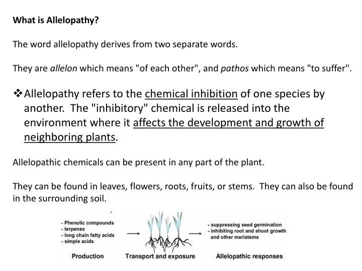 what is allelopathy