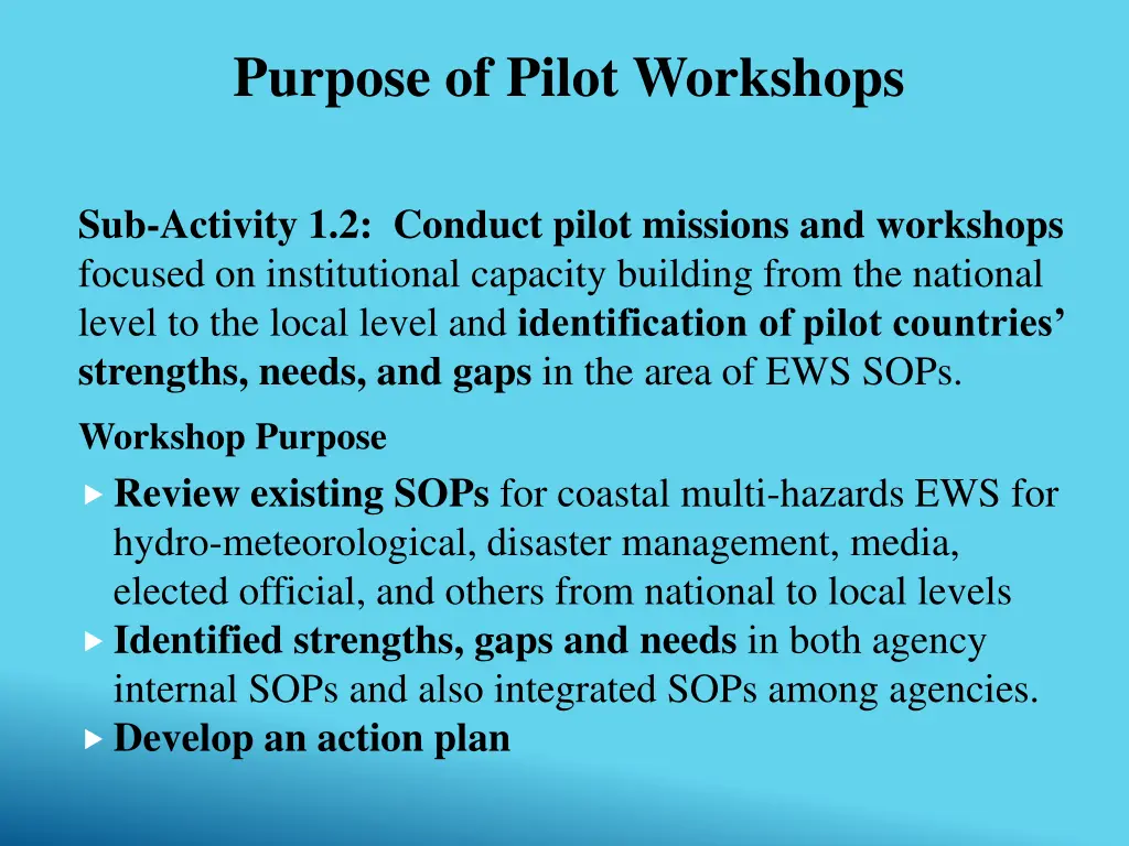 purpose of pilot workshops