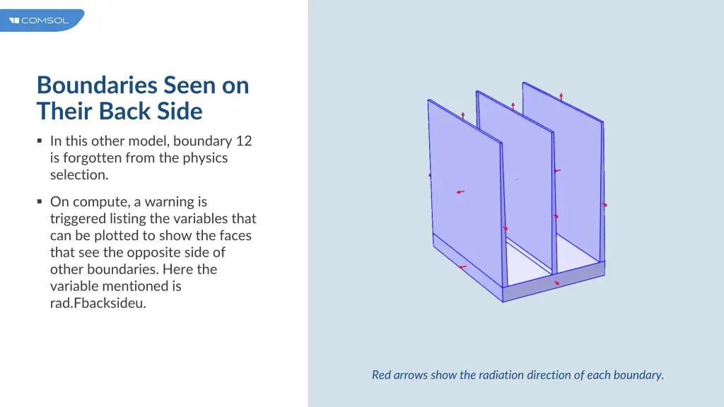 boundaries seen on their back side