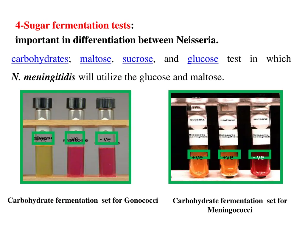 4 sugar fermentation tests important