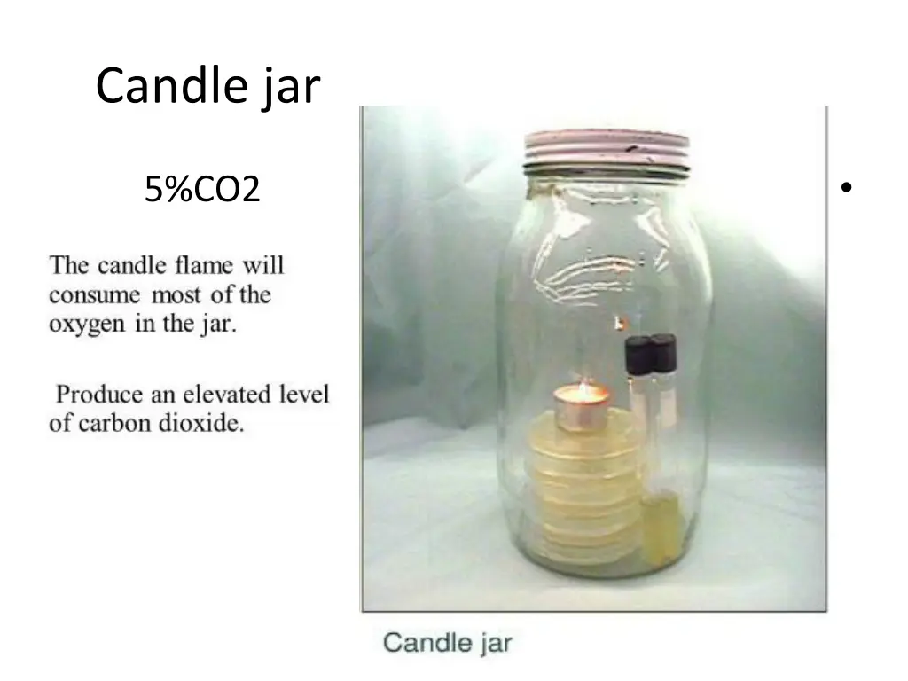 candle jar