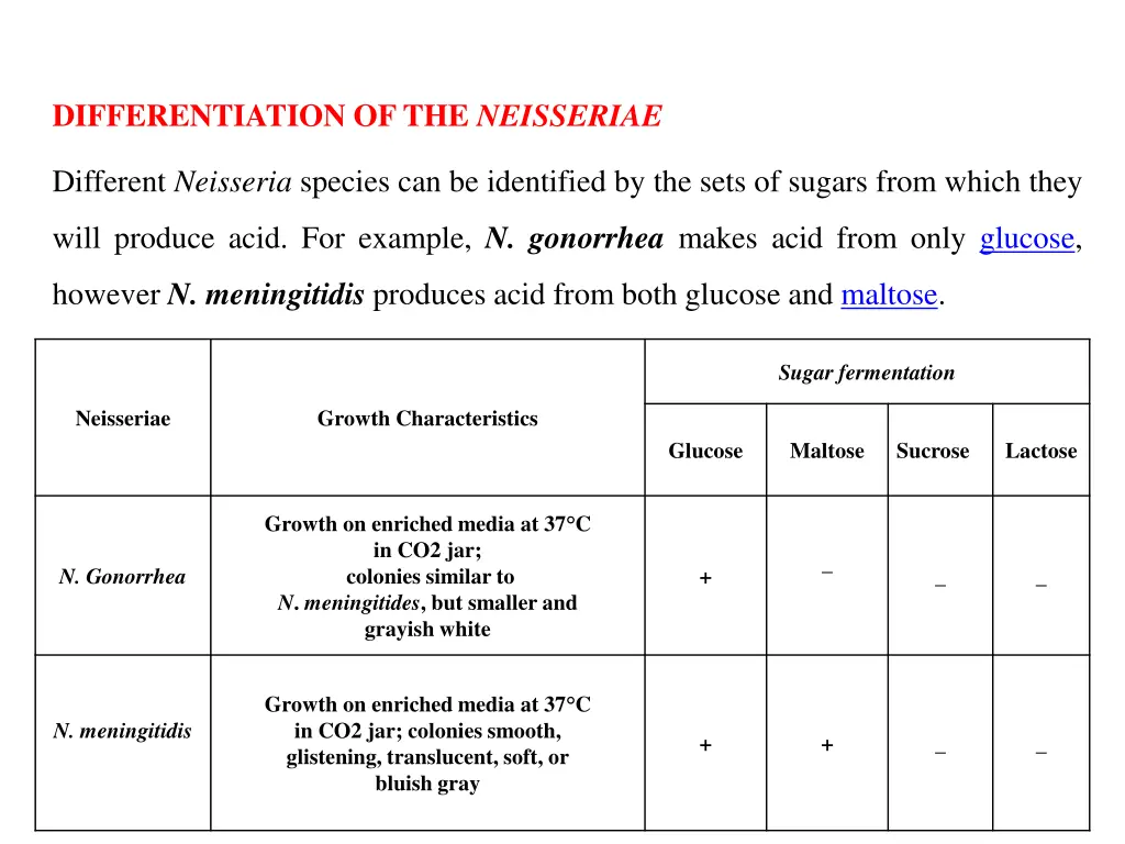 differentiation of the neisseriae