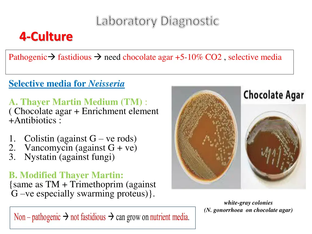 laboratory diagnostic 1