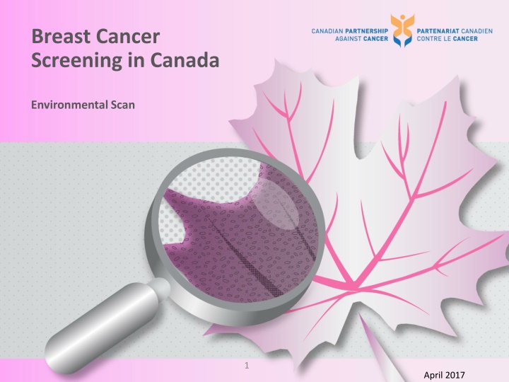 breast cancer screening in canada