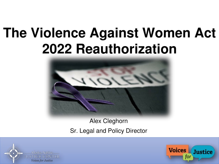 the violence against women act 2022