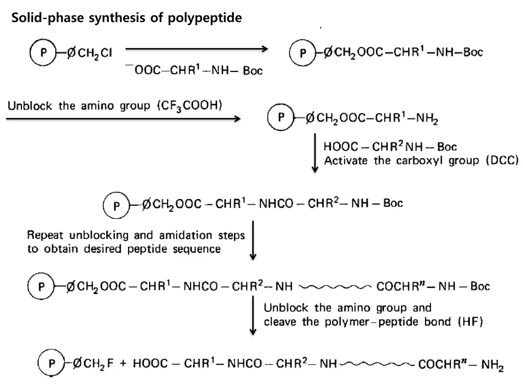 solid phase synthesis of polypeptide