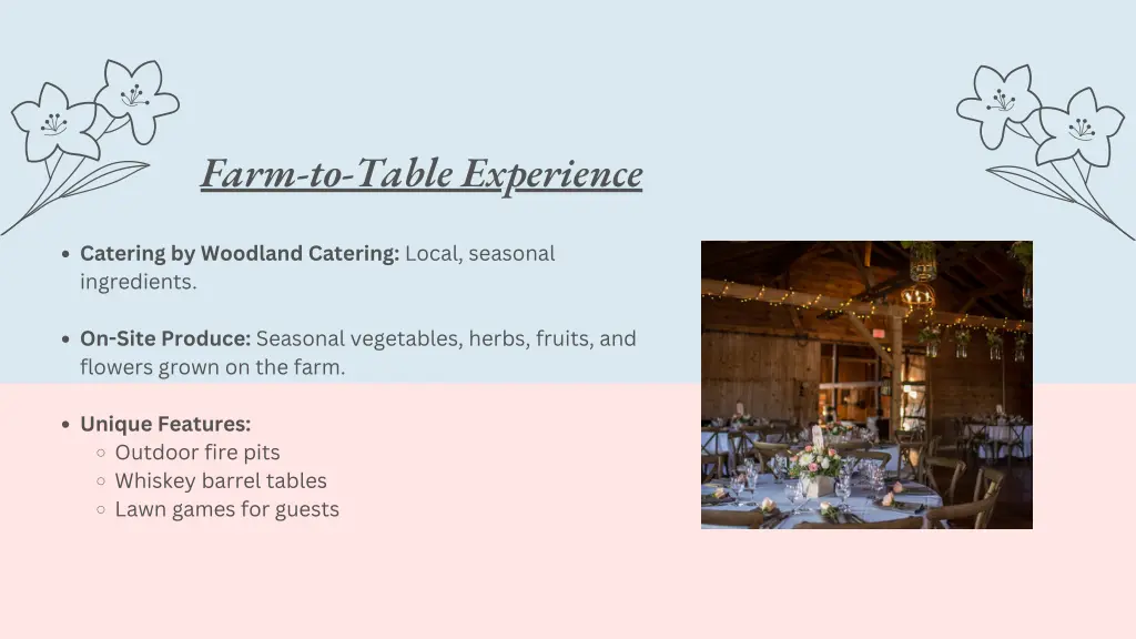 farm to table experience