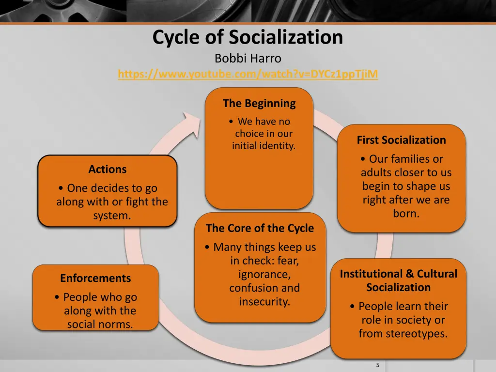 cycle of socialization bobbi harro https