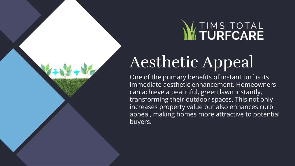 aesthetic appeal one of the primary benefits