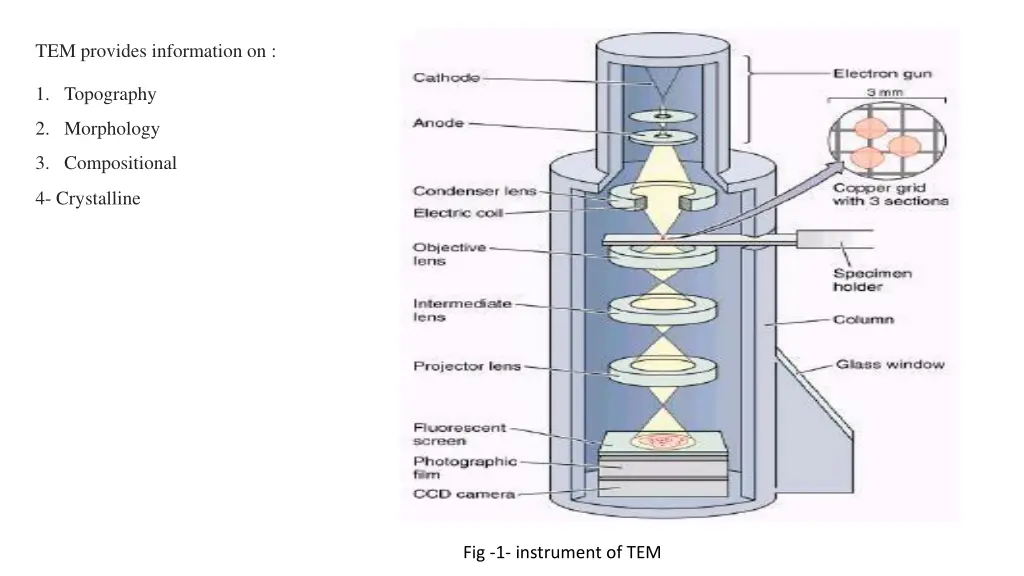 tem provides information on