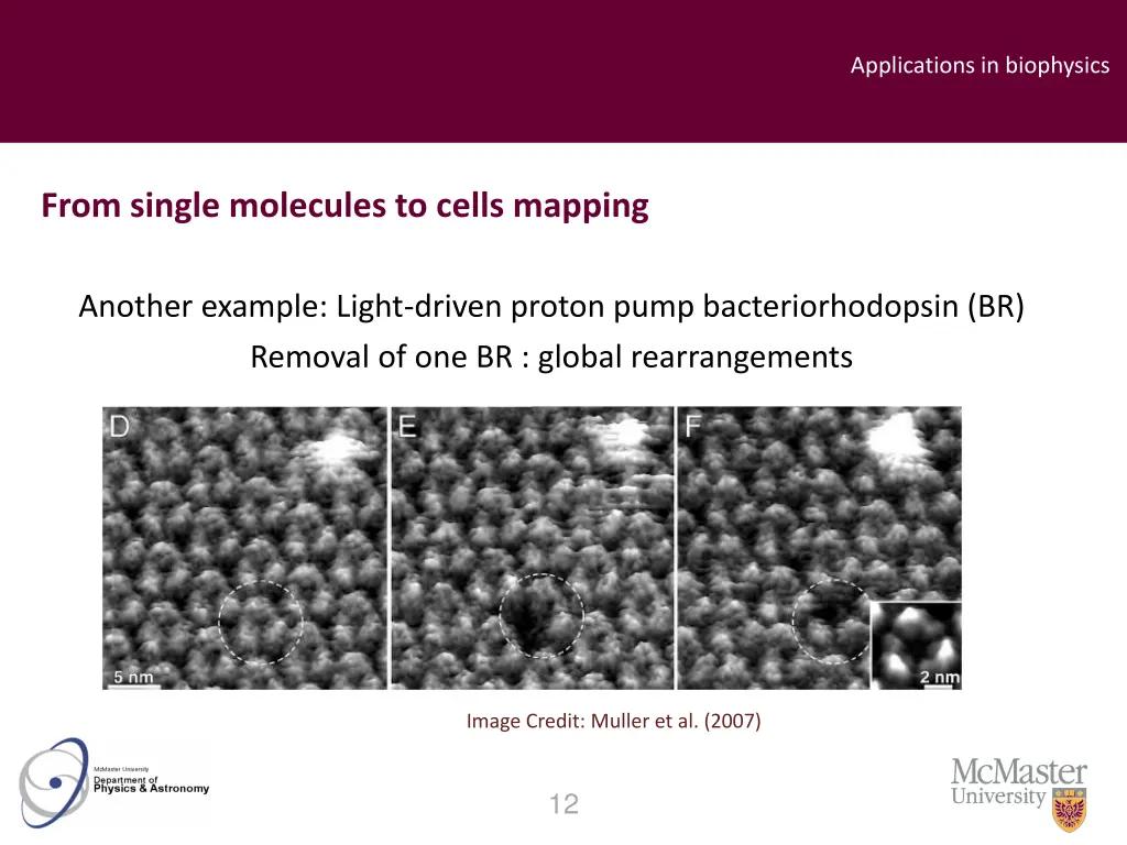 applications in biophysics 1