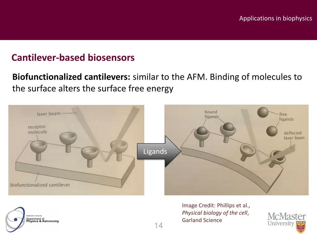 applications in biophysics 3