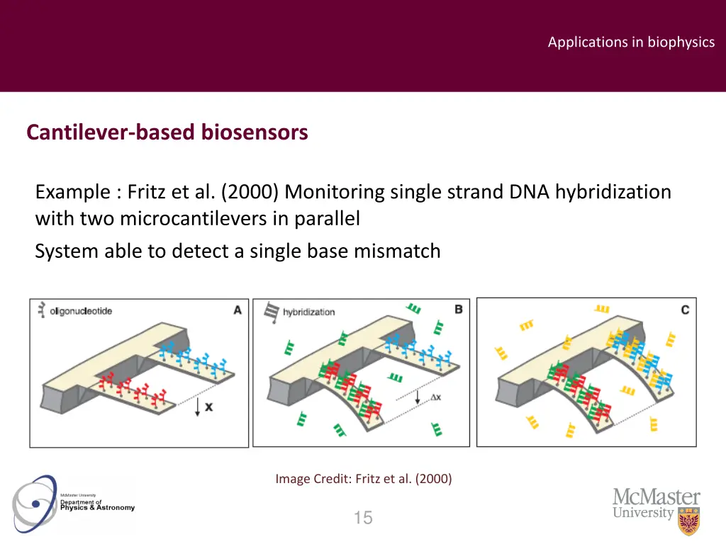 applications in biophysics 4