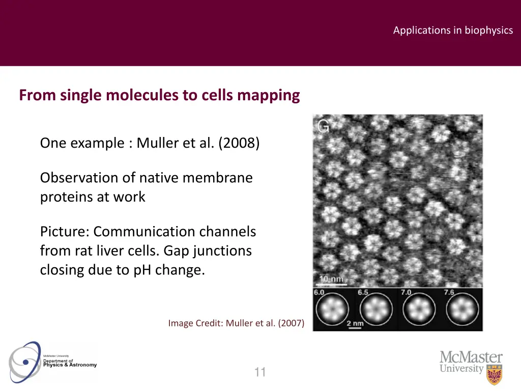 applications in biophysics