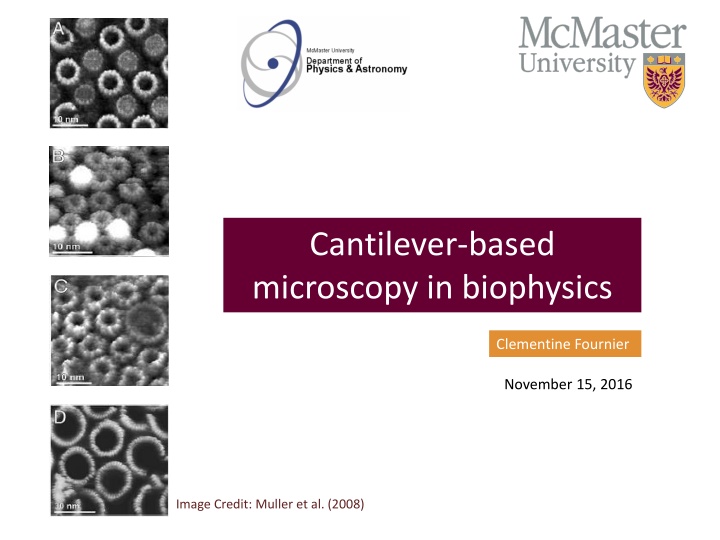 cantilever based microscopy in biophysics