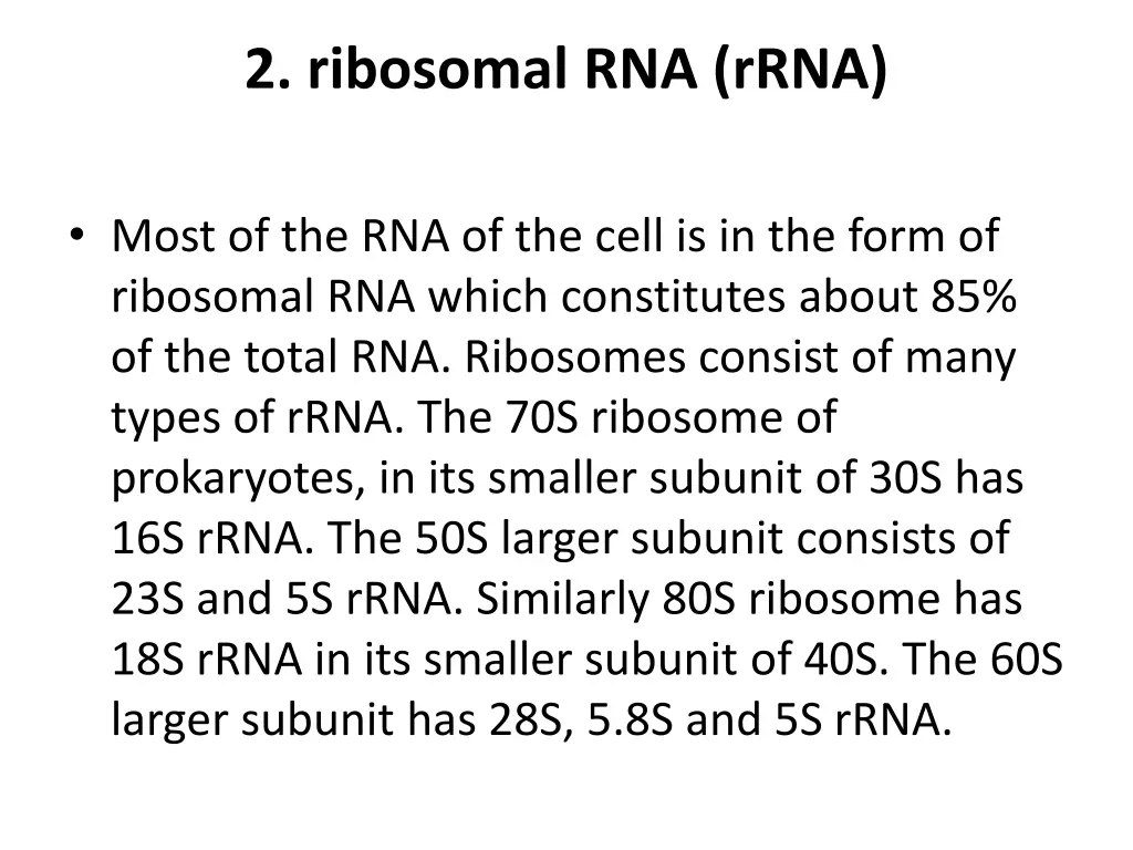 2 ribosomal rna rrna