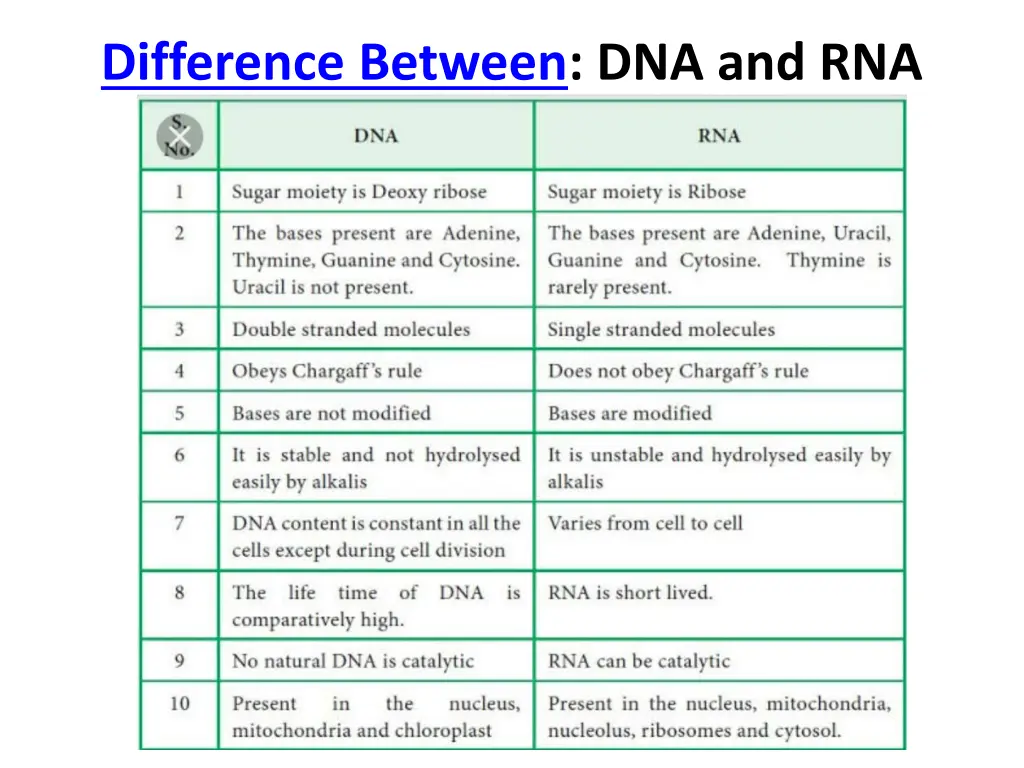 difference between dna and rna