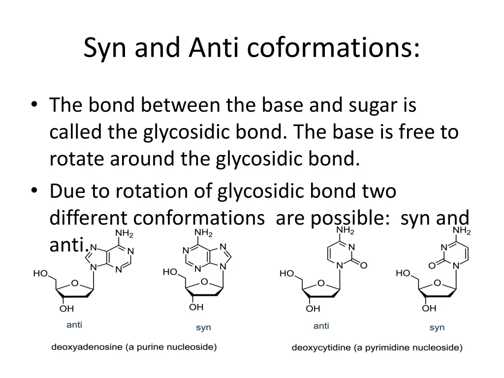 syn and anti coformations