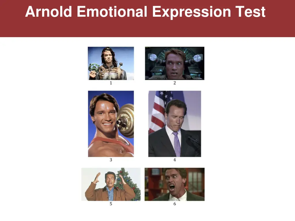 arnold emotional expression test