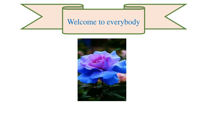 welcome to everybody