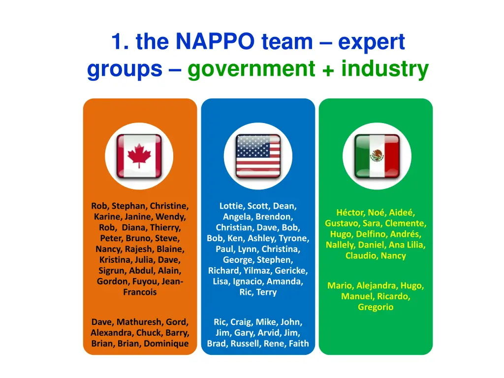 1 the nappo team expert groups government industry