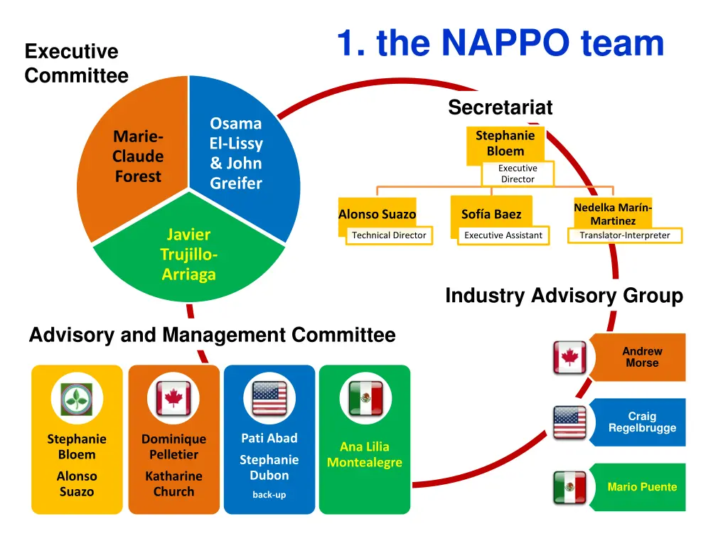 1 the nappo team