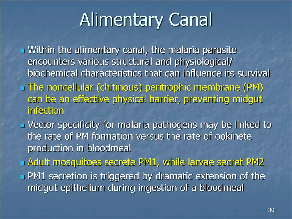 alimentary canal 1