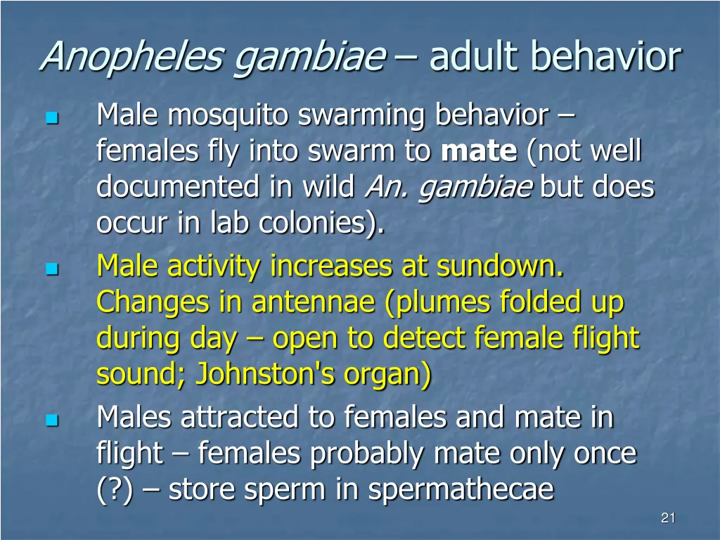 anopheles gambiae adult behavior