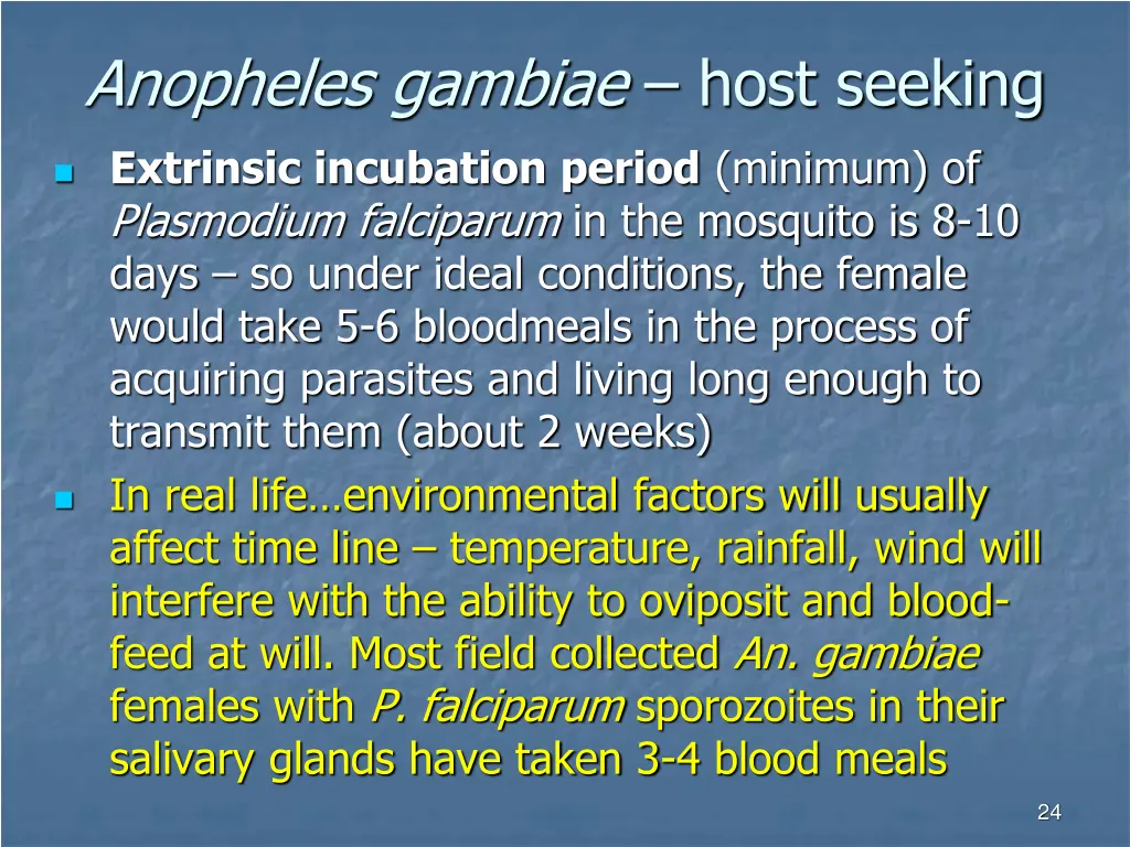 anopheles gambiae host seeking 2