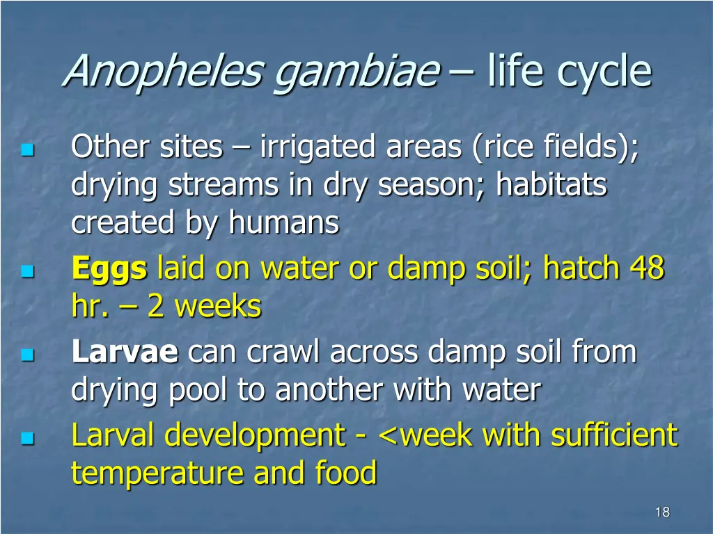 anopheles gambiae life cycle