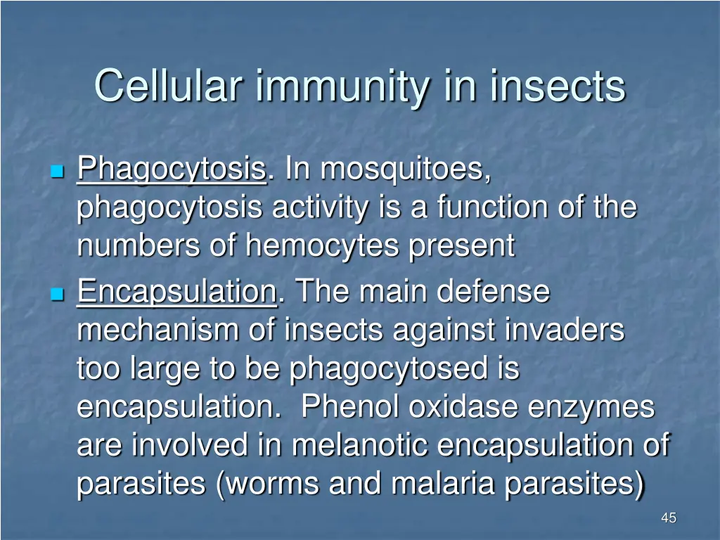 cellular immunity in insects