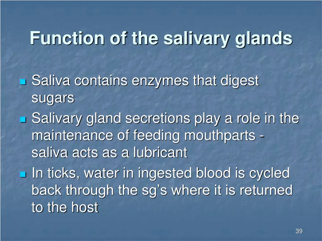 function of the salivary glands