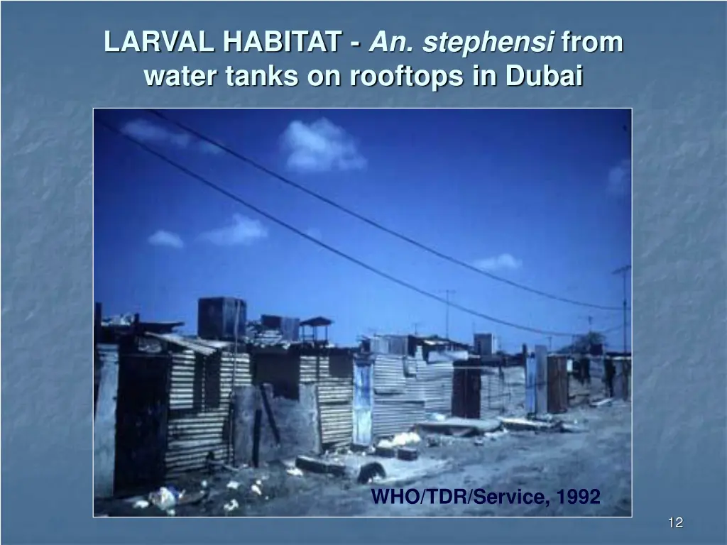 larval habitat an stephensi from water tanks