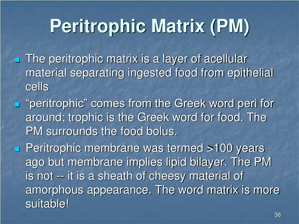 peritrophic matrix pm