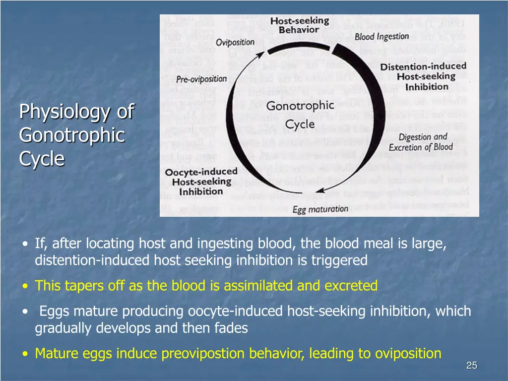 physiology of gonotrophic cycle