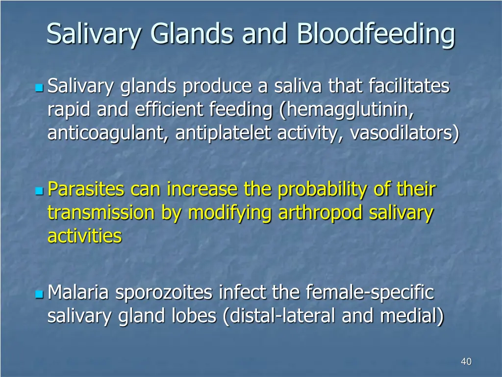 salivary glands and bloodfeeding