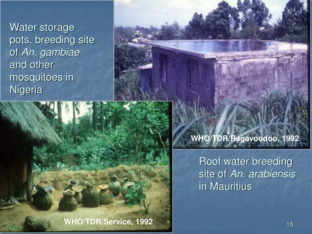 water storage pots breeding site of an gambiae