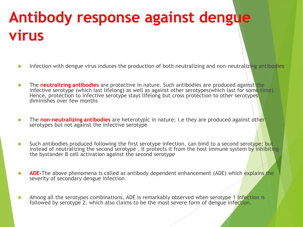 antibody response against dengue virus