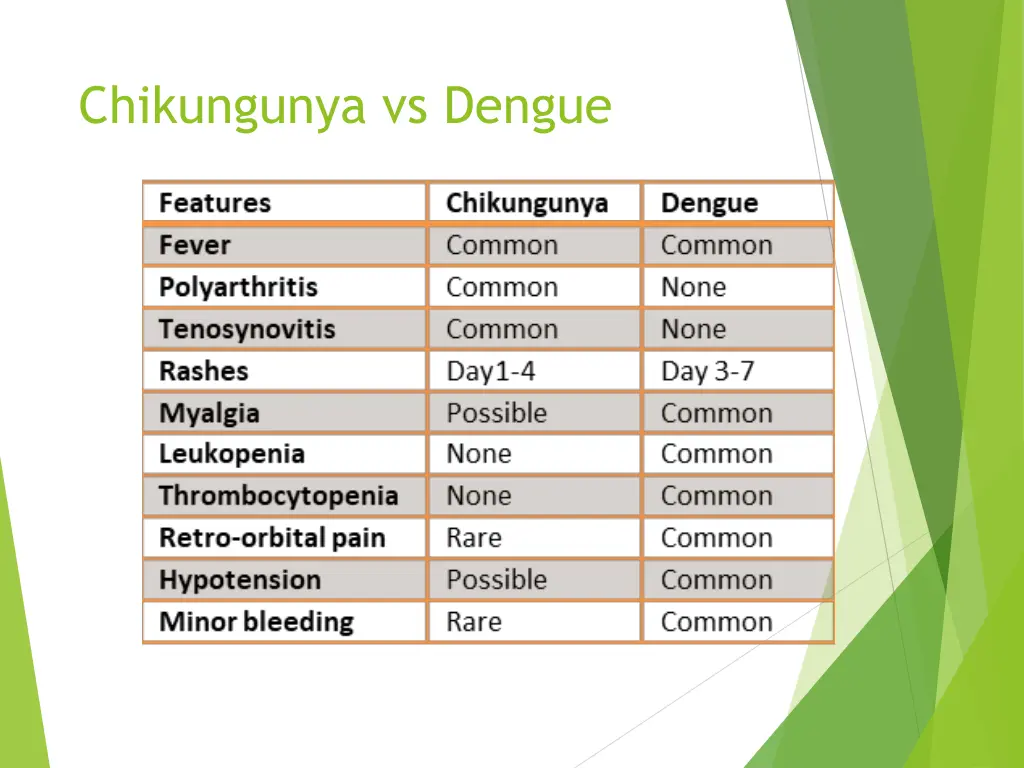 chikungunya vs dengue