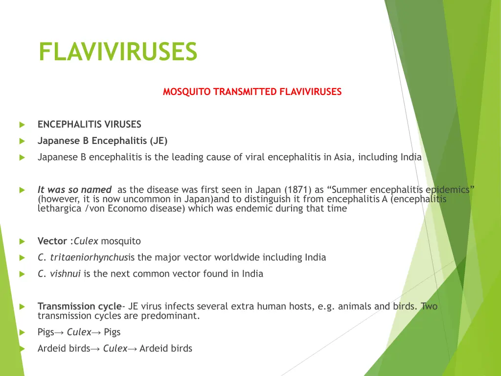 flaviviruses