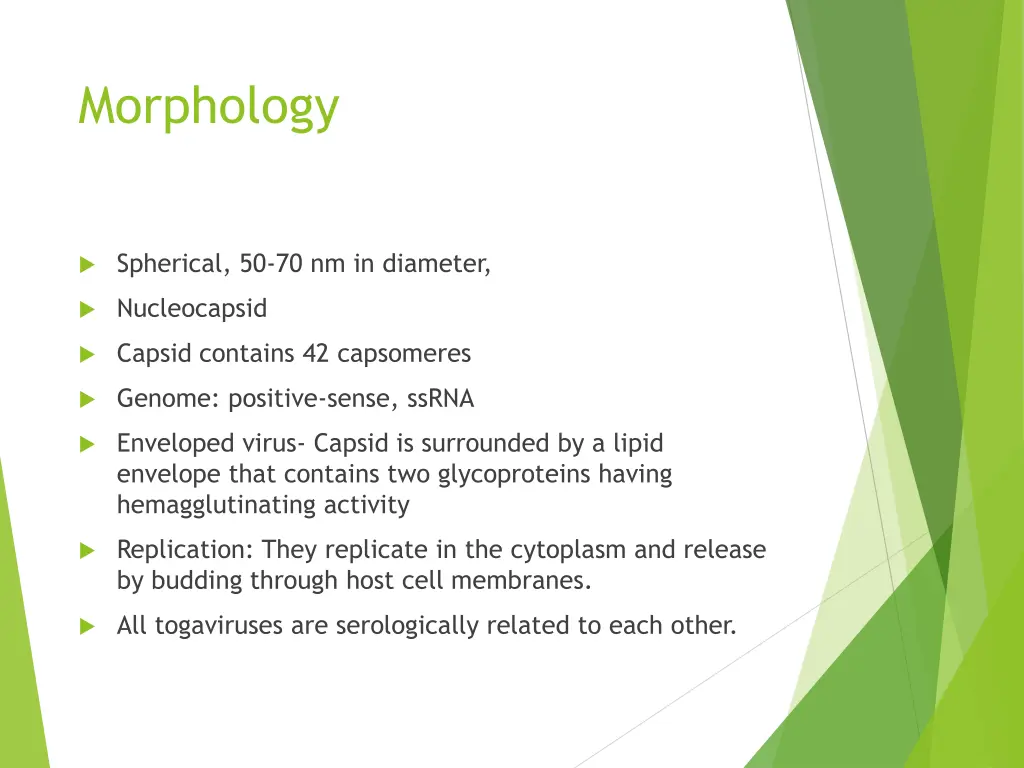 morphology