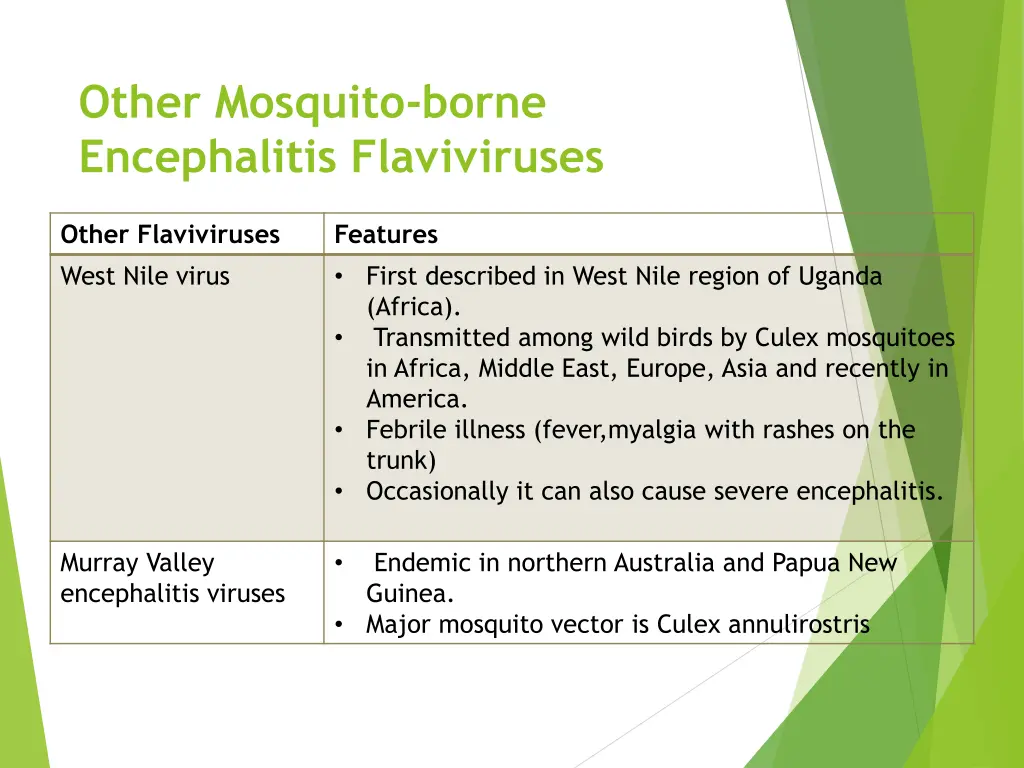 other mosquito borne encephalitis flaviviruses