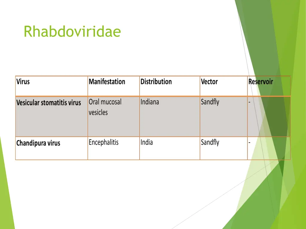 rhabdoviridae