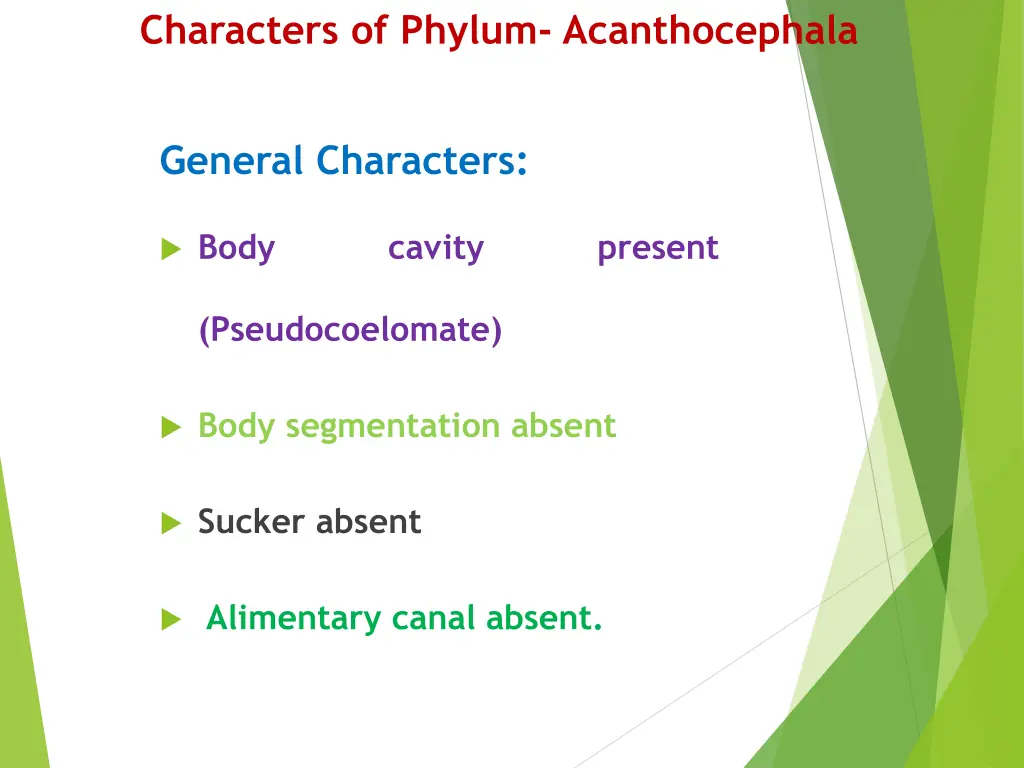 characters of phylum acanthocephala 1