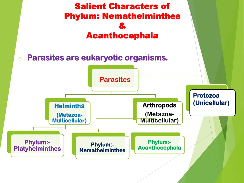 salient characters of salient characters