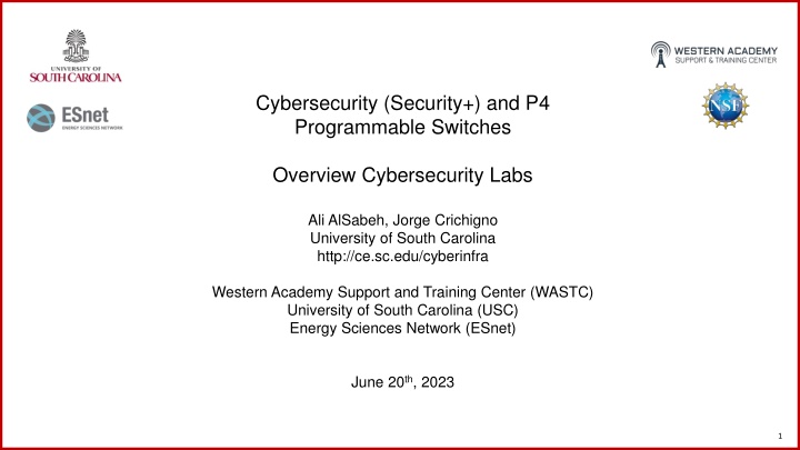 cybersecurity security and p4 programmable