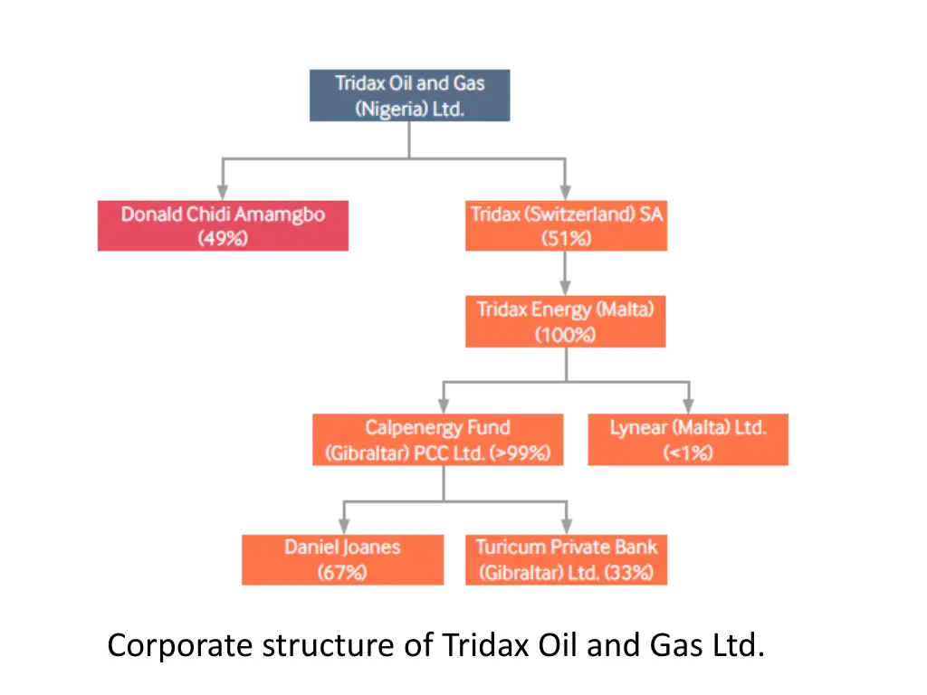 corporate structure of tridax oil and gas ltd